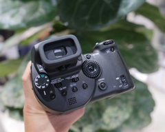 Sony Cyber-shot DSC-R1