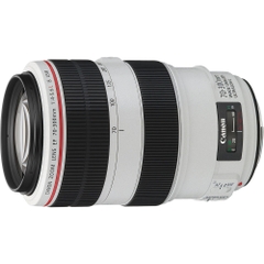 Canon EF 70-300mm F/4-5.6L IS USM
