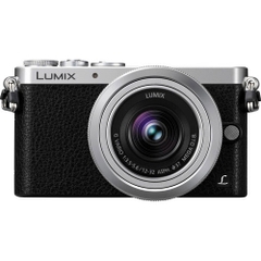 Panasonic Lumix DMC-GM1 body