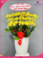 Chậu hoa lan hồ điệp vàng 16 cành V506