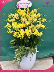 Chậu hoa lan hồ điệp vàng 28 cành V545