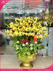 Chậu hoa lan hồ điệp vàng 35 cành V548