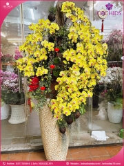 Chậu hoa lan hồ điệp vàng 50 cành V531