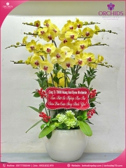 Chậu hoa lan hồ điệp vàng 8 cành V493