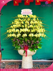 Chậu hoa lan hồ điệp vàng 90 cành V533