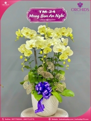 Chậu hoa lan hồ điệp xanh táo 6 cành X76