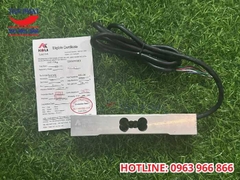 Loadcell AMI 30kg Keli 