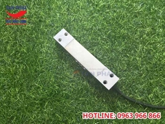 Loadcell AMI 30kg Keli 