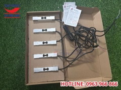 Loadcell AMI 30kg Keli 