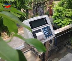 Đầu cân điện tử XK3118T6-P