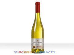 Vang Gran Reserva Chardonnay - Vang Chi lê