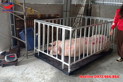 Cân động vật có lồng