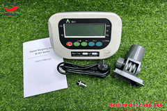 Đầu cân hiển thị số HP W501