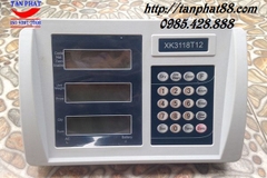Đầu cân XK3118T12