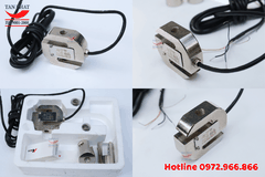 Loadcell Chữ S PST 300kg