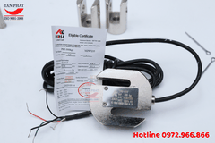 Loadcell Chữ S PST 300kg
