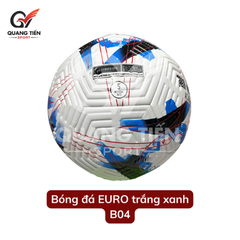 Quả Bóng Đá Thể Thao Số 5 (Bóng đúc cao cấp loại 1 - tặng kèm kim bơm và lưới đựng bóng)