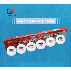 Bóng bàn DHS 3 sao - Hộp 6 quả