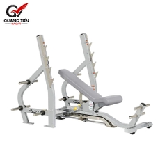 Hoist CF2179B Ghế tập ngực đa năng thương hiệu Mỹ [Way Olympic Bench]