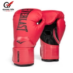 Găng Tay Boxing Everlast Elite 2