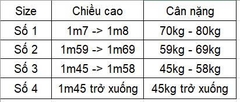 Áo giáp ngực Tán Thủ,Võ cổ truyền