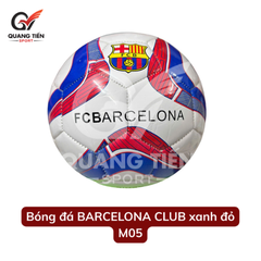 Quả bóng đá nhiều mẫu - bóng may số 5 da PU - Tặng kim bơm & lưới đựng bóng