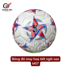 Quả bóng đá nhiều mẫu - bóng may số 5 da PU - Tặng kim bơm & lưới đựng bóng