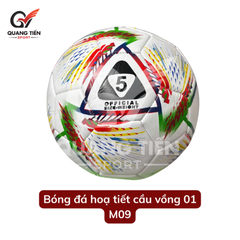 Quả bóng đá nhiều mẫu - bóng may số 5 da PU - Tặng kim bơm & lưới đựng bóng