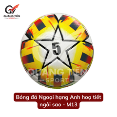 Quả bóng đá nhiều mẫu - bóng may số 5 da PU - Tặng kim bơm & lưới đựng bóng