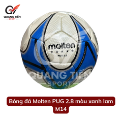 Quả bóng đá nhiều mẫu - bóng may số 5 da PU - Tặng kim bơm & lưới đựng bóng