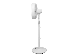Quạt lửng Hawonkoo FDH-012