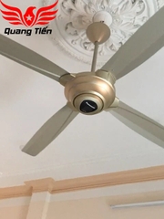 Quạt trần Panasonic F-56 MZG