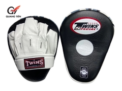 ĐÍCH ĐẤM TWINS PML10 FOCUS MITTS