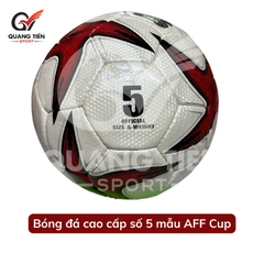 Quả bóng đá cao cấp số 5 mẫu AFF Cup ( tặng kèm kim bơm và lưới đựng bóng )