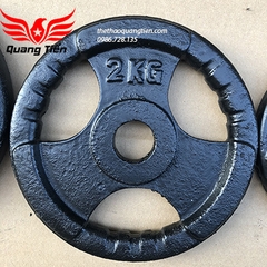 Tạ bánh gang 5 kg, miếng tạ gang 5 kg , đĩa tạ gang 5kg 3 cánh QT08