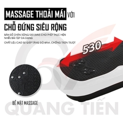 Máy rung toàn thân TS-21927