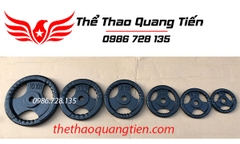 Tạ bánh gang 3 kg, miếng tạ gang 3 kg , đĩa tạ gang 3kg 3 cánh QT08