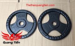 Tạ bánh gang 10kg, tạ đĩa gang 10kg phi 50 lỗ to QT20
