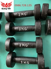 Tạ tay gang đúc liền khối 10 kg loại đẹp 2021 (giá 1 chiếc)