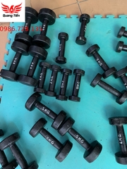 Tạ tay gang đúc liền khối 10 kg loại đẹp 2021 (giá 1 chiếc)
