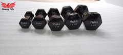 Tạ tay cao su cao cấp Yuko 5 kg (1 chiếc )