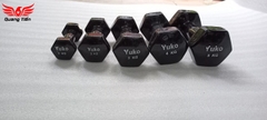 Tạ tay cao su cao cấp Yuko 5 kg (1 chiếc )