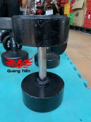 Tạ tay gang liền khối tay inox 4 kg ( giá 1 chiếc )