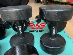 Tạ tay gang đúc liền khối 20 kg loại đẹp 2021 ( giá 1 chiếc )