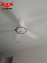 Quạt trần 5 cánh có điều khiển Panasonic F-60TDN QT88
