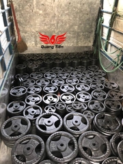 Tạ bánh gang 20kg, tạ đĩa gang 20kg phi 30 lỗ nhỏ QT08
