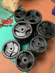 Tạ bánh gang 20kg, tạ đĩa gang 20kg phi 30 lỗ nhỏ QT08