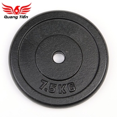 Tạ bánh đĩa sắt nhập khẩu siêu đẹp sơn bóng 5kg