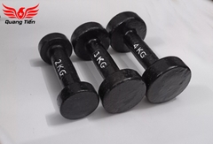 Tạ tay gang đúc loại đẹp 2022 4 kg ( giá 1 quả )