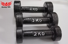 Tạ tay gang đúc loại đẹp 2022 4 kg ( giá 1 quả )